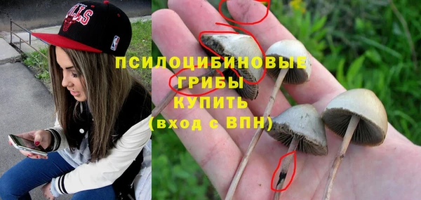 крисы Богданович