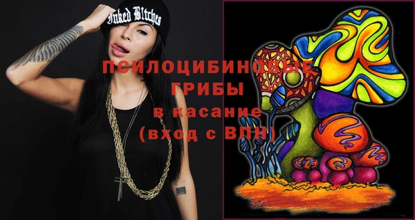 дживик Бородино