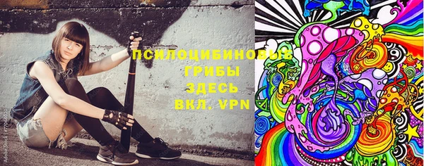 дживик Бородино