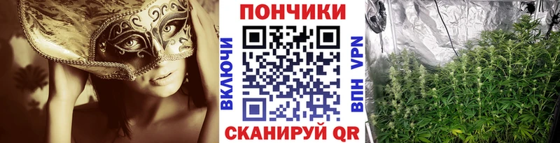 Конопля конопля Новоуральск